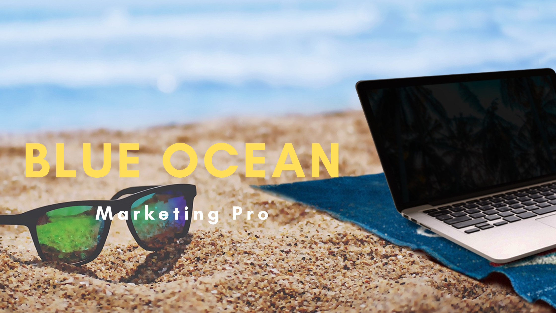 Blue Ocean Marketing Pro
